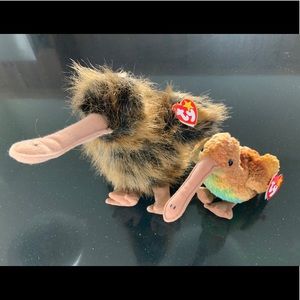 Ty Beak the Kiwi bird Beanie Baby and Beanie Buddy